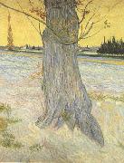 Vincent Van Gogh Trunk of an old Yew Tree (nn04) France oil painting artist